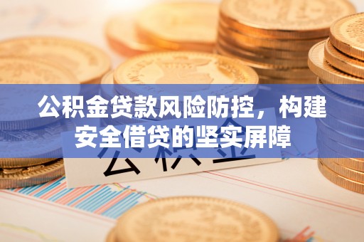 莘县公积金贷款风险防控，构建安全借贷的坚实屏障