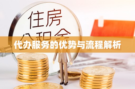 莘县代办服务的优势与流程解析