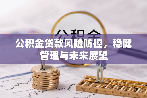 莘县公积金贷款风险防控，稳健管理与未来展望