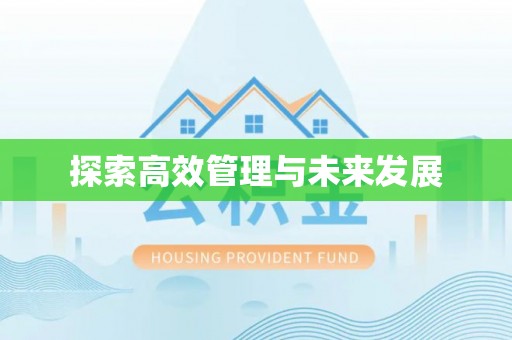 莘县探索高效管理与未来发展