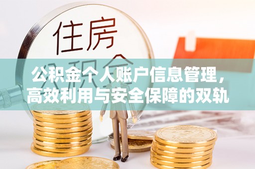 莘县公积金个人账户信息管理，高效利用与安全保障的双轨并行