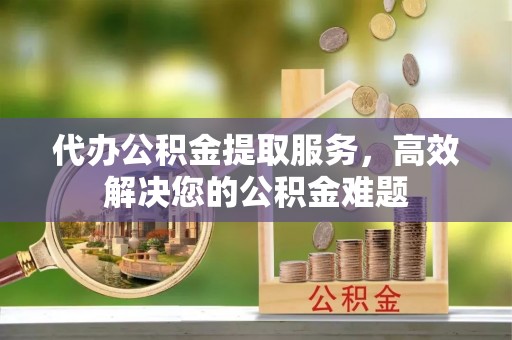 莘县代办公积金提取服务，高效解决您的公积金难题