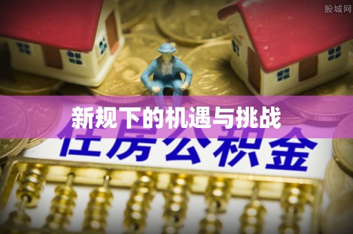 莘县新规下的机遇与挑战