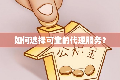 莘县如何选择可靠的代理服务？