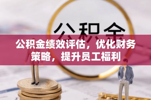 莘县公积金绩效评估，优化财务策略，提升员工福利