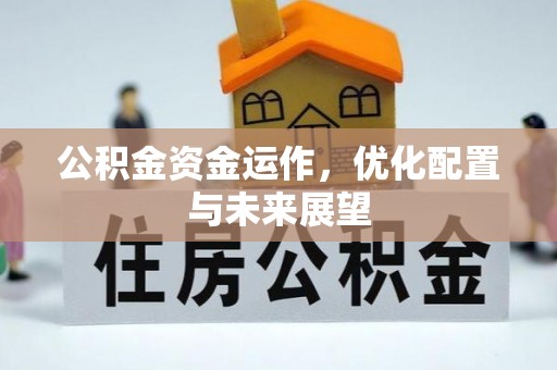 莘县公积金资金运作，优化配置与未来展望