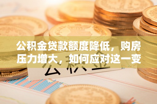 莘县公积金贷款额度降低，购房压力增大，如何应对这一变化？