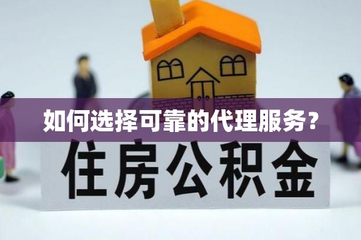 莘县如何选择可靠的代理服务？