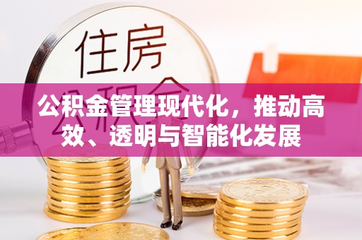 莘县公积金管理现代化，推动高效、透明与智能化发展