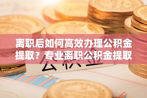 莘县离职后如何高效办理公积金提取？专业离职公积金提取代办服务详解