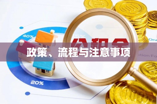 莘县政策、流程与注意事项