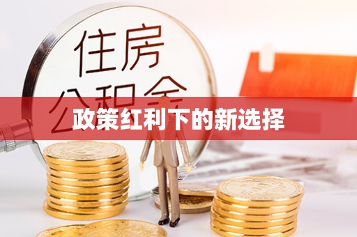 莘县政策红利下的新选择