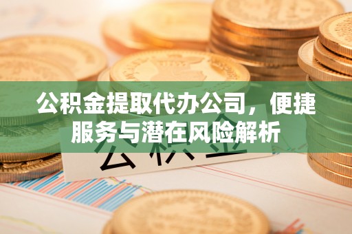 莘县公积金提取代办公司，便捷服务与潜在风险解析