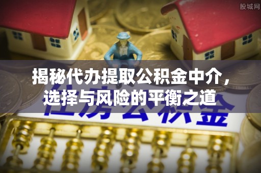 莘县揭秘代办提取公积金中介，选择与风险的平衡之道