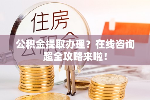 莘县公积金提取办理？在线咨询超全攻略来啦！