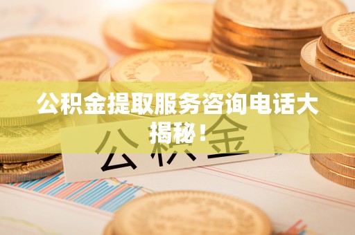 莘县公积金提取服务咨询电话大揭秘！