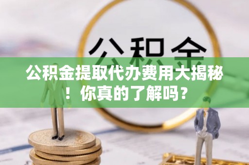 莘县公积金提取代办费用大揭秘！你真的了解吗？