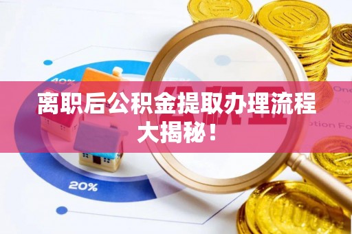 莘县离职后公积金提取办理流程大揭秘！