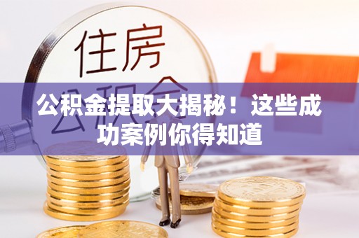莘县公积金提取大揭秘！这些成功案例你得知道