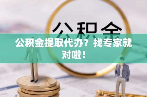 莘县公积金提取代办？找专家就对啦！