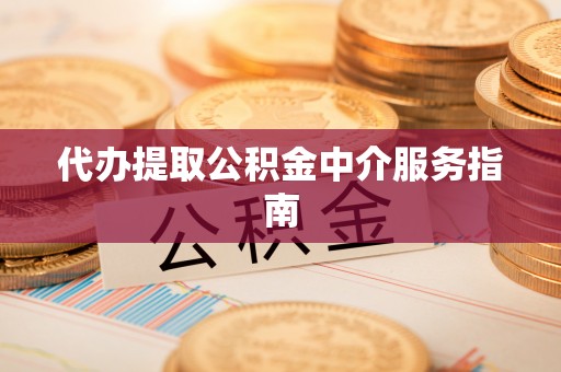 莘县代办提取公积金中介服务指南