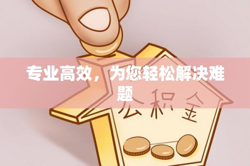 莘县专业高效，为您轻松解决难题