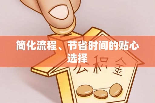 莘县简化流程、节省时间的贴心选择
