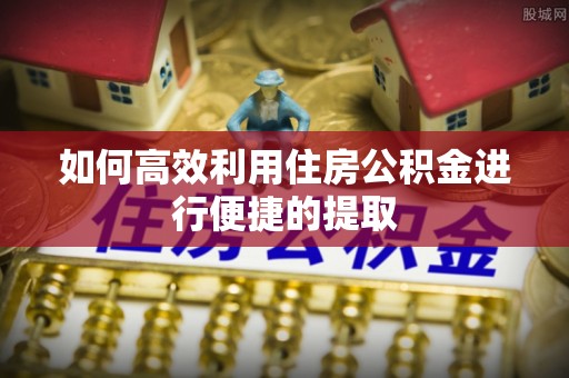 莘县如何高效利用住房公积金进行便捷的提取