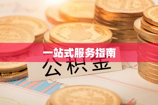 莘县一站式服务指南