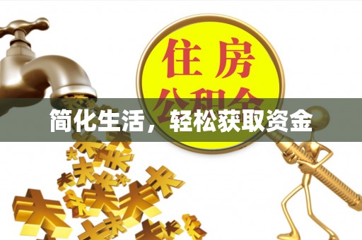 莘县简化生活，轻松获取资金