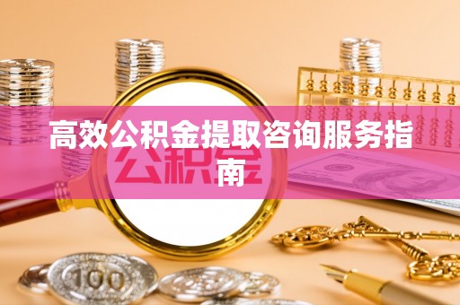 莘县高效公积金提取咨询服务指南