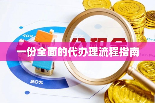 莘县一份全面的代办理流程指南