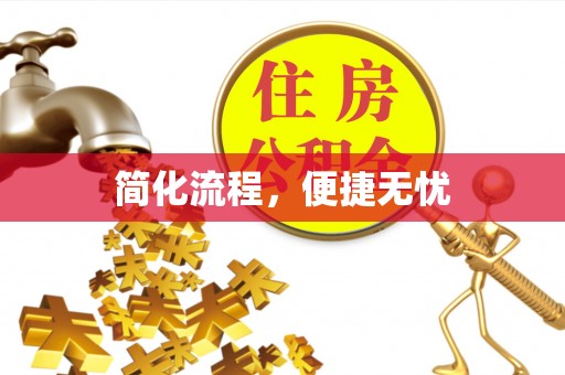 莘县简化流程，便捷无忧