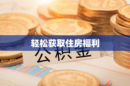 莘县轻松获取住房福利