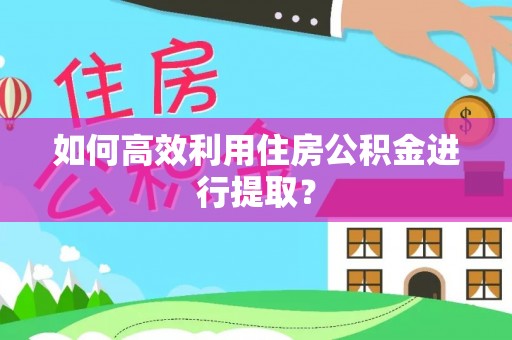 莘县如何高效利用住房公积金进行提取？