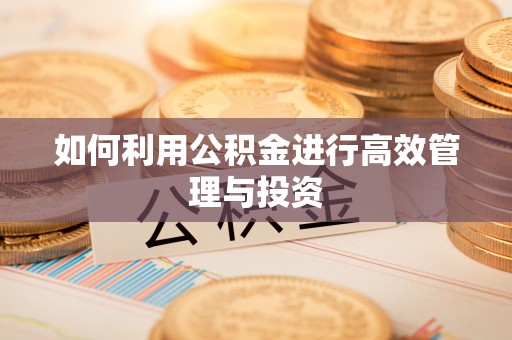 莘县如何利用公积金进行高效管理与投资