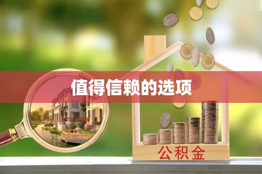 莘县值得信赖的选项