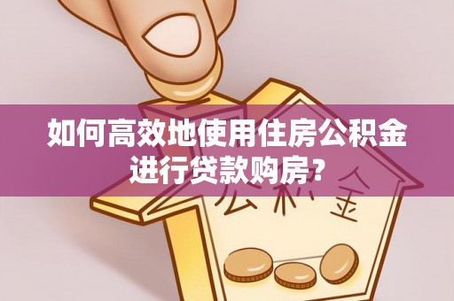 莘县如何高效地使用住房公积金进行贷款购房？
