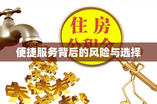 莘县便捷服务背后的风险与选择