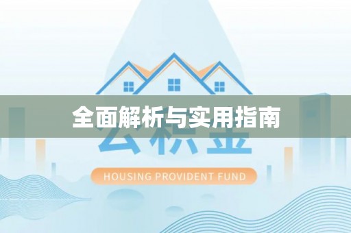莘县全面解析与实用指南