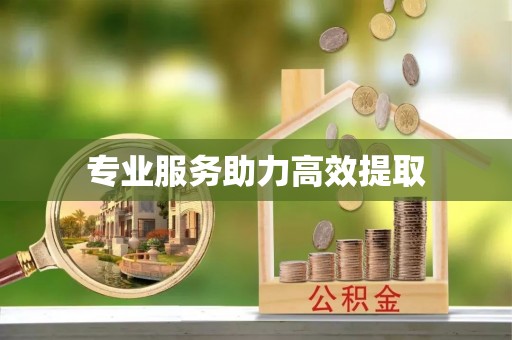 莘县专业服务助力高效提取