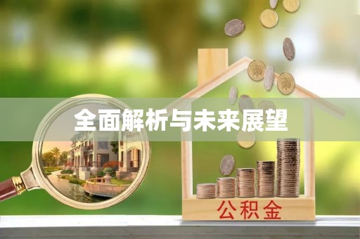 莘县全面解析与未来展望