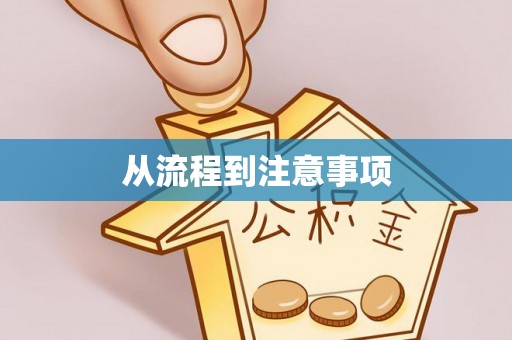 莘县从流程到注意事项