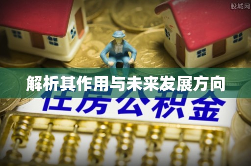 莘县解析其作用与未来发展方向