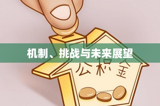 莘县机制、挑战与未来展望
