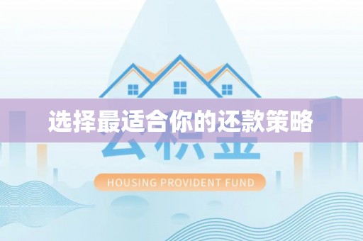 莘县选择最适合你的还款策略