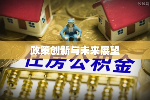 莘县政策创新与未来展望
