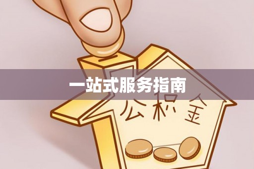 莘县一站式服务指南