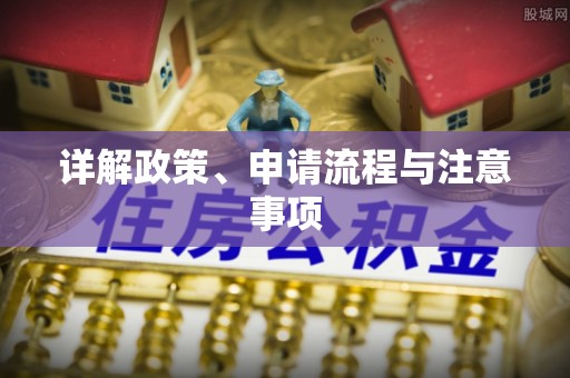莘县详解政策、申请流程与注意事项