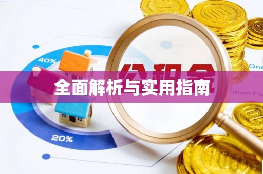 莘县全面解析与实用指南